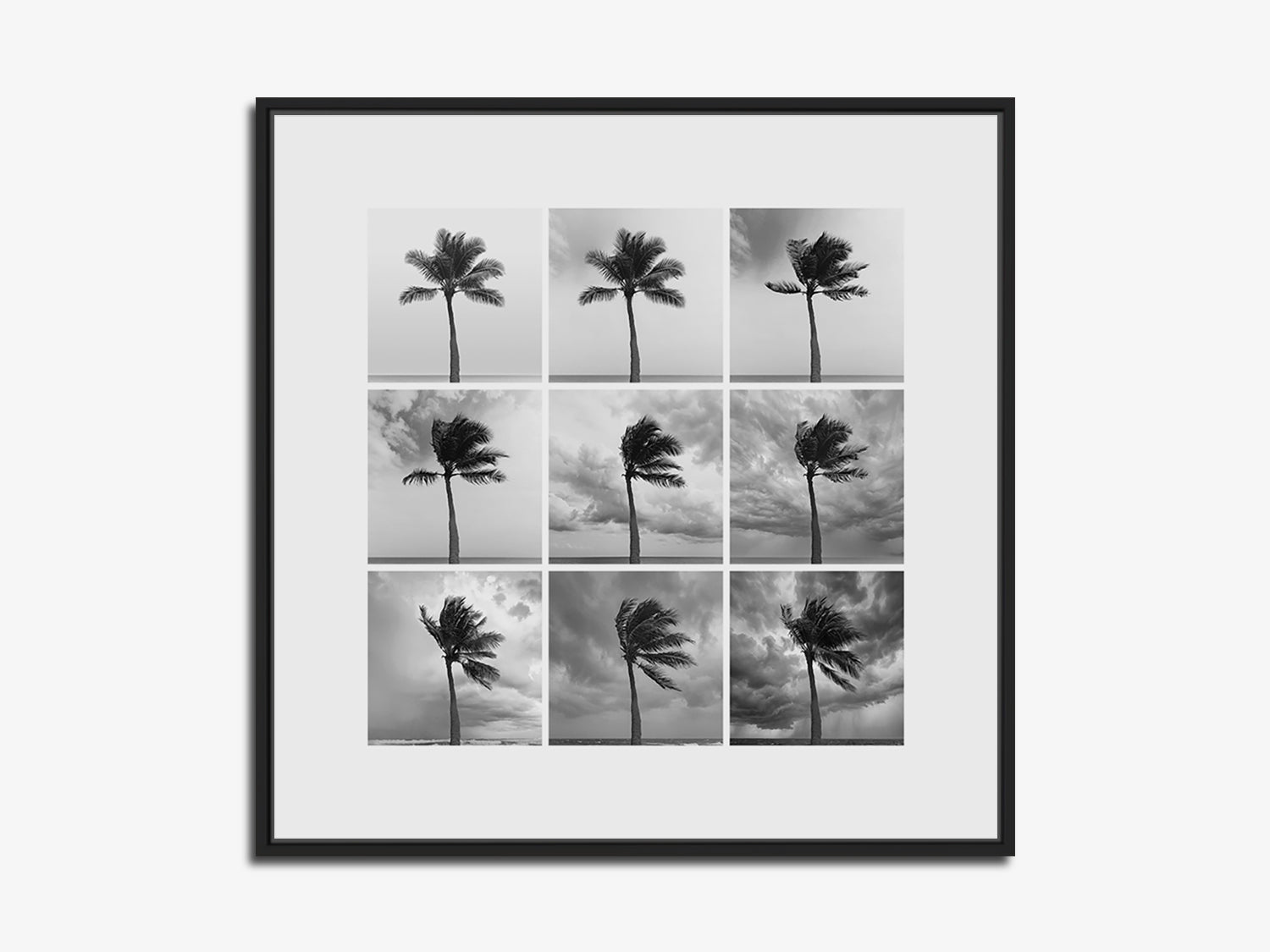 Black Eden — Weather studies. Limited edition of 25