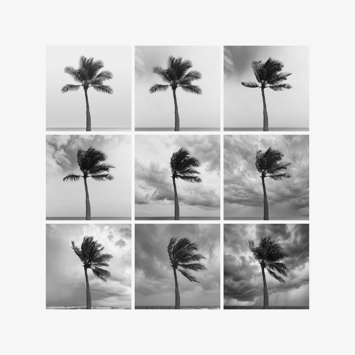 Black Eden — Weather studies. Limited edition of 25