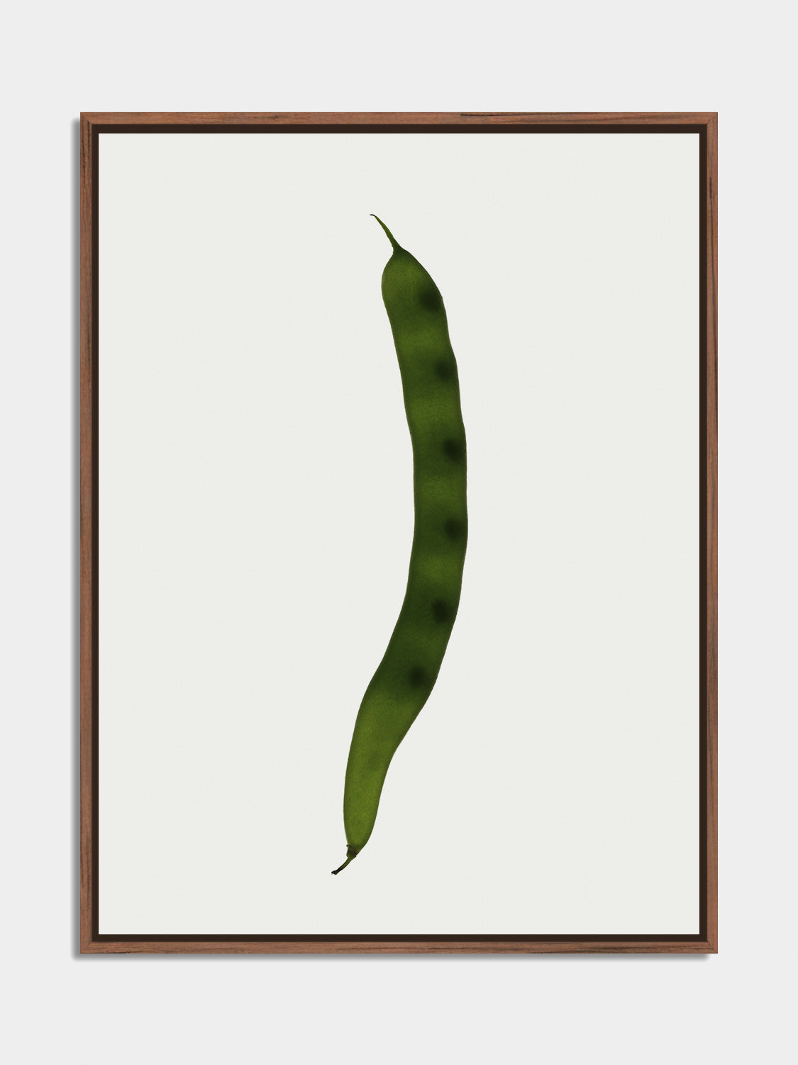 Herbarium 04 – botanical fine art photography print, walnut floater frame | Beau Edition