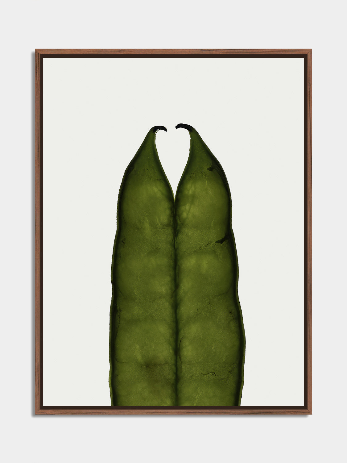 Herbarium 05 – botanical fine art photography print, walnut floater frame | Beau Edition