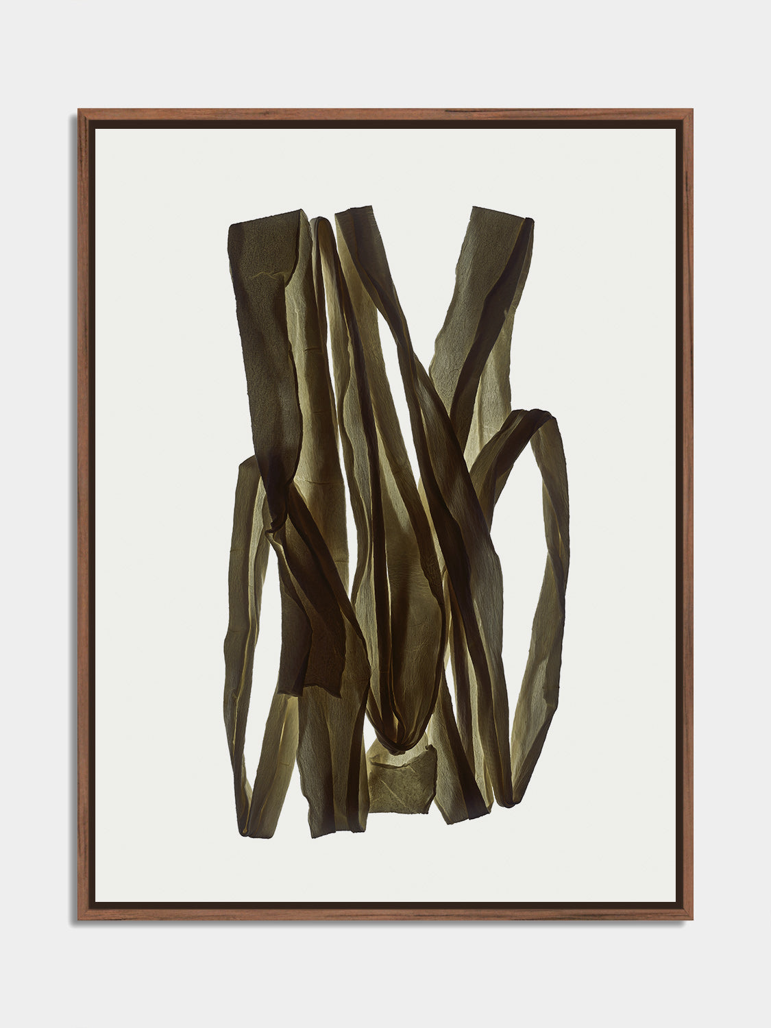 Herbarium 15 – botanical fine art photography print, walnut floater frame | Beau Edition