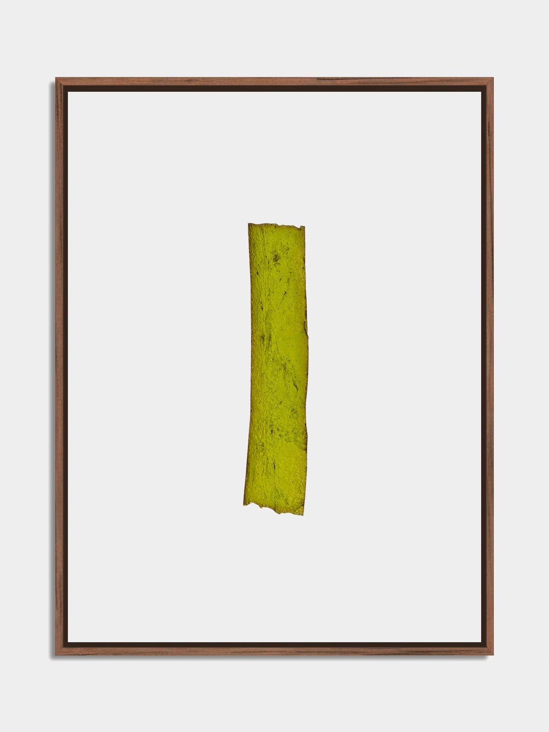 Herbarium 16 – botanical fine art photography print, walnut floater frame | Beau Edition