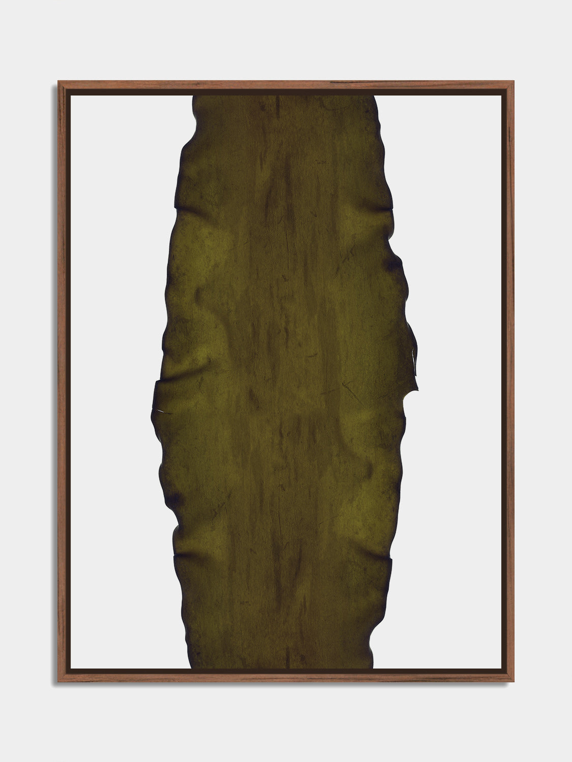 Herbarium 17 – botanical fine art photography print, walnut floater frame | Beau Edition