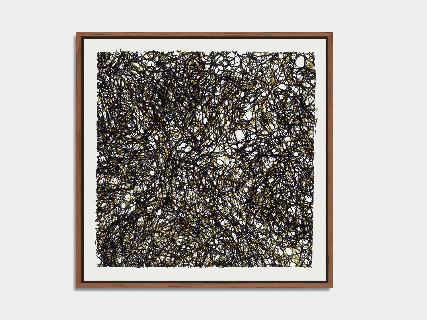 Herbarium 18 – botanical fine art photography print, walnut floater frame | Beau Edition