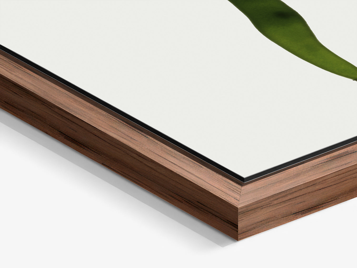 Herbarium 04 – walnut floater frame close-up, botanical fine art photography print | Beau Edition