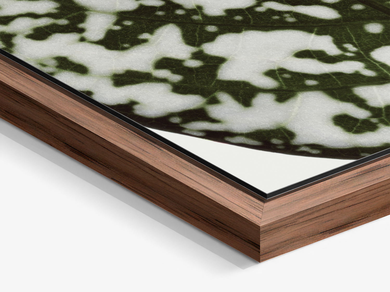Herbarium 06 – walnut floater frame close-up, botanical fine art photography print | Beau Edition