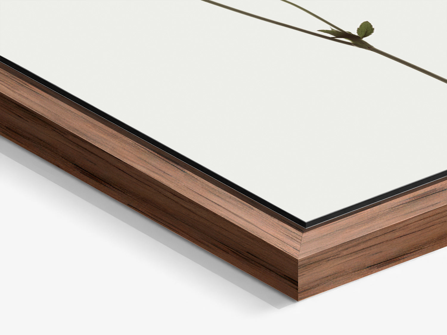 Herbarium 07 – walnut floater frame close-up, fine art photography print | Beau Edition