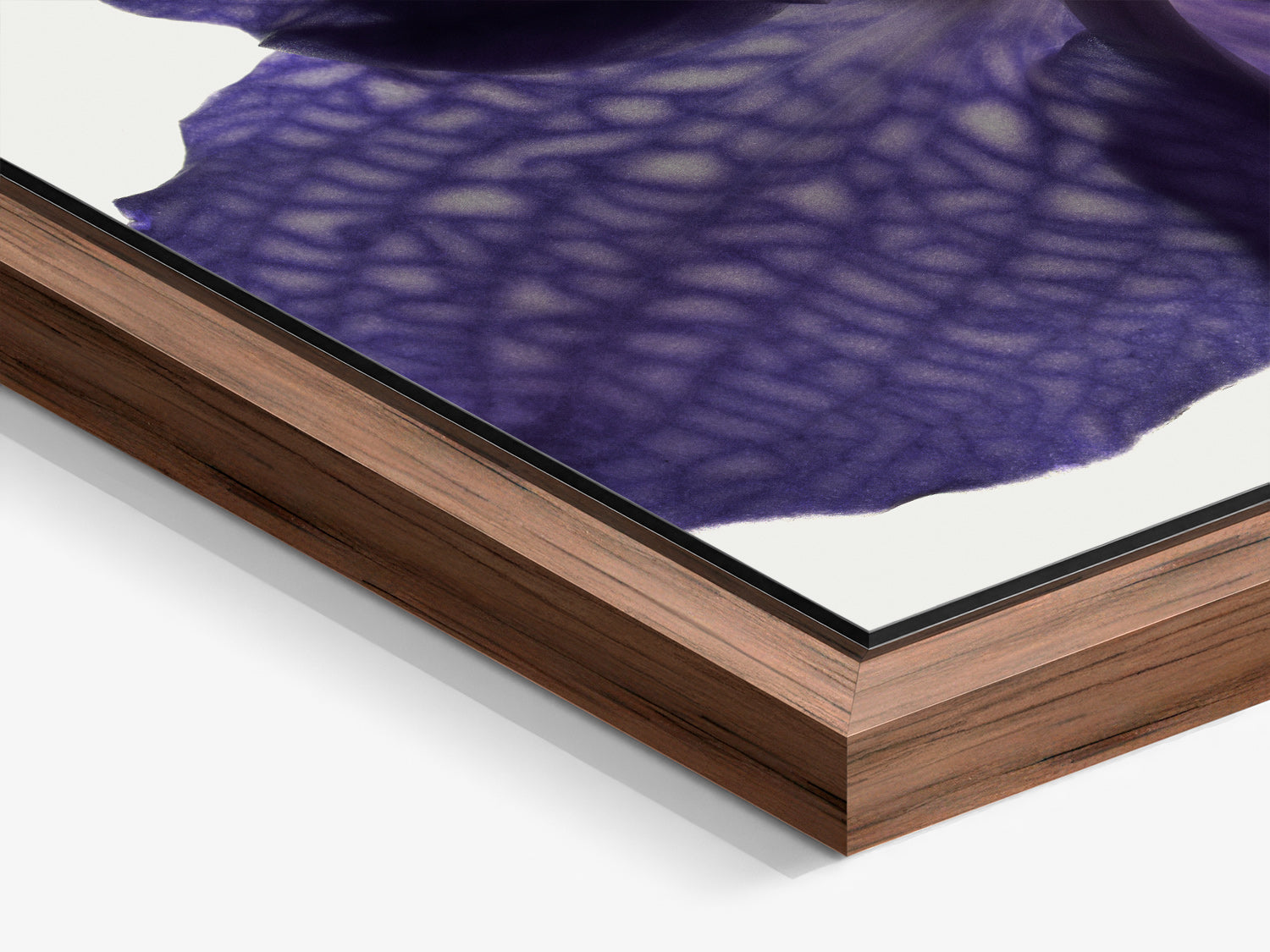 Herbarium 10 – walnut floater frame close-up, botanical fine art photography print | Beau Edition