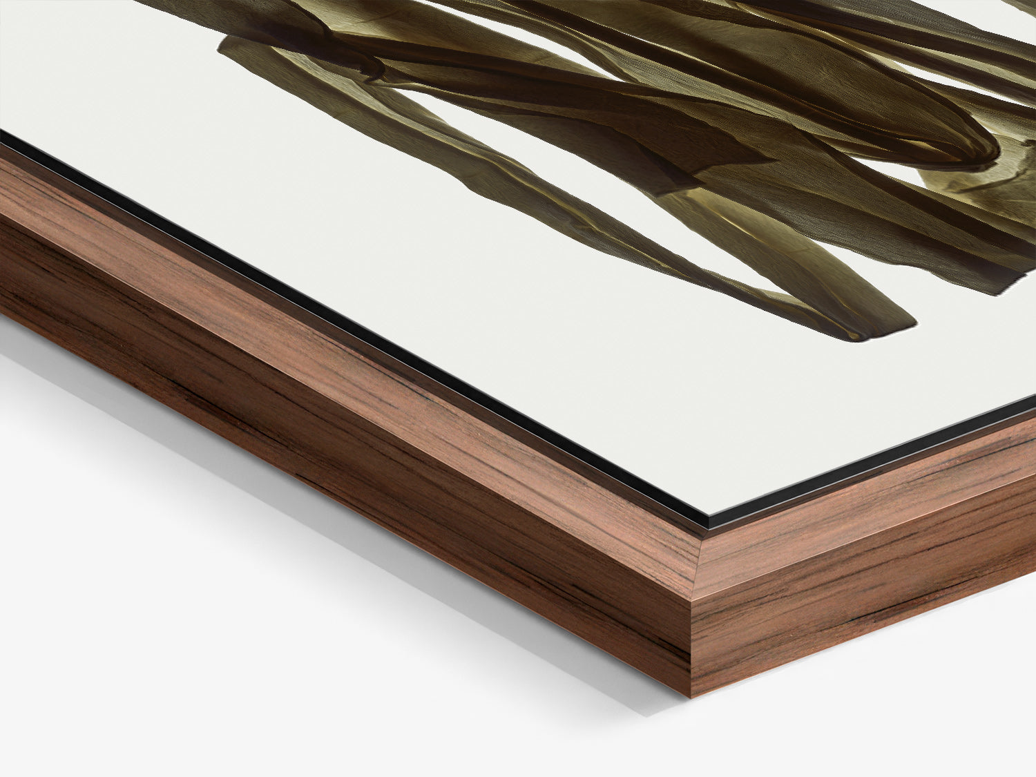 Herbarium 15 – walnut floater frame close-up, botanical fine art photography print | Beau Edition