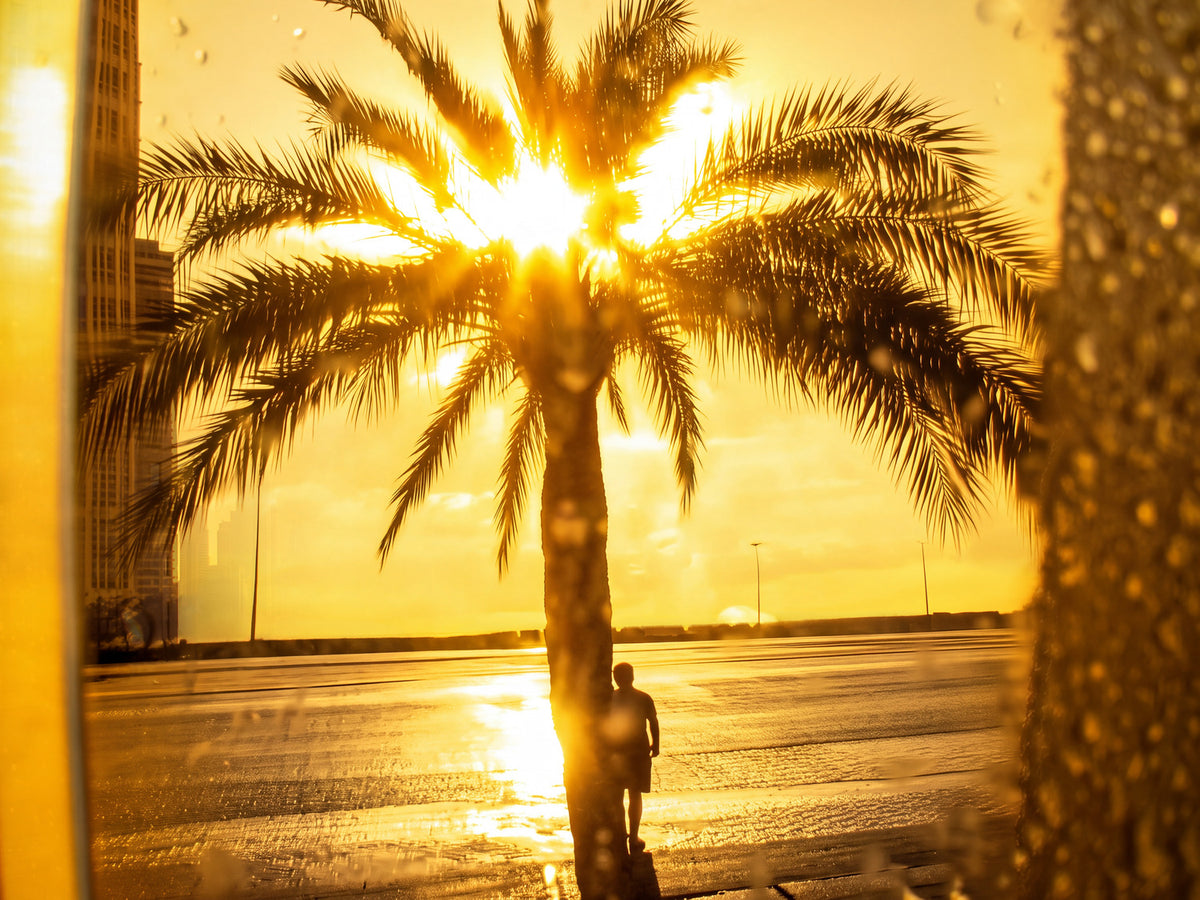 Electric Summer 01 – urban palm tree at golden hour fine art print | Beau Edition