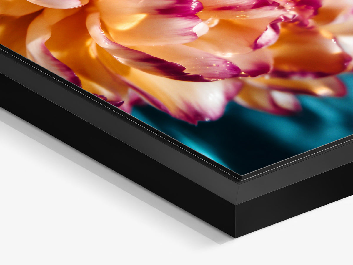 Electric Summer 03 – black matt floater frame close-up, flower close-up with a pool in the background fine art print | Beau Edition