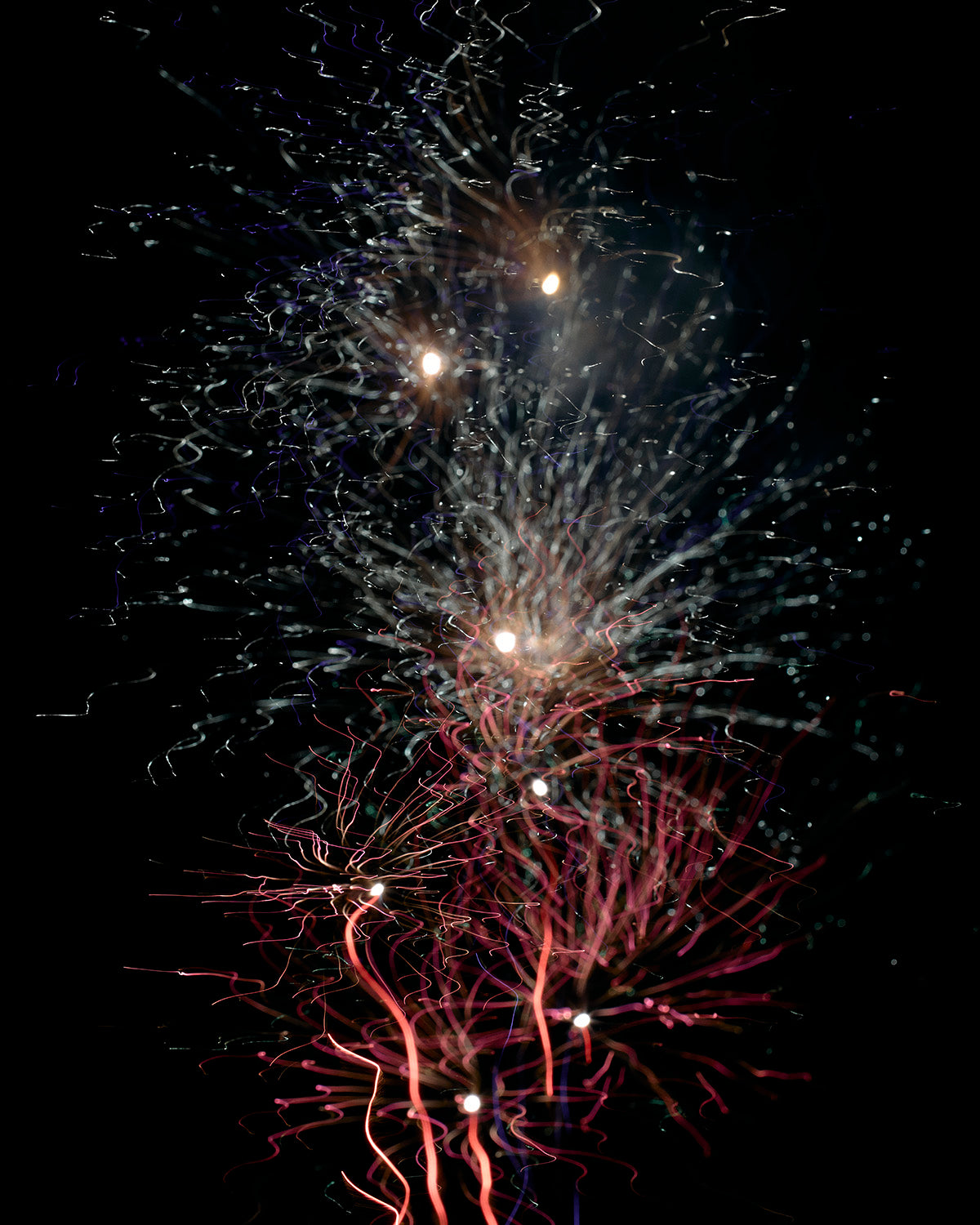 Fireworks 01