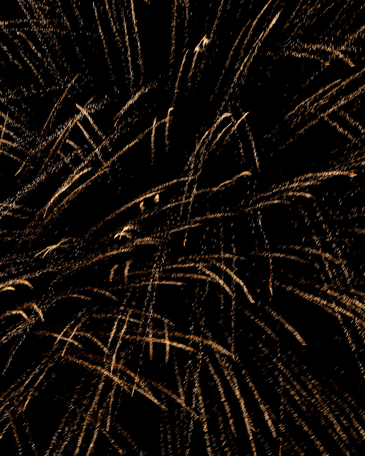 Fireworks 13