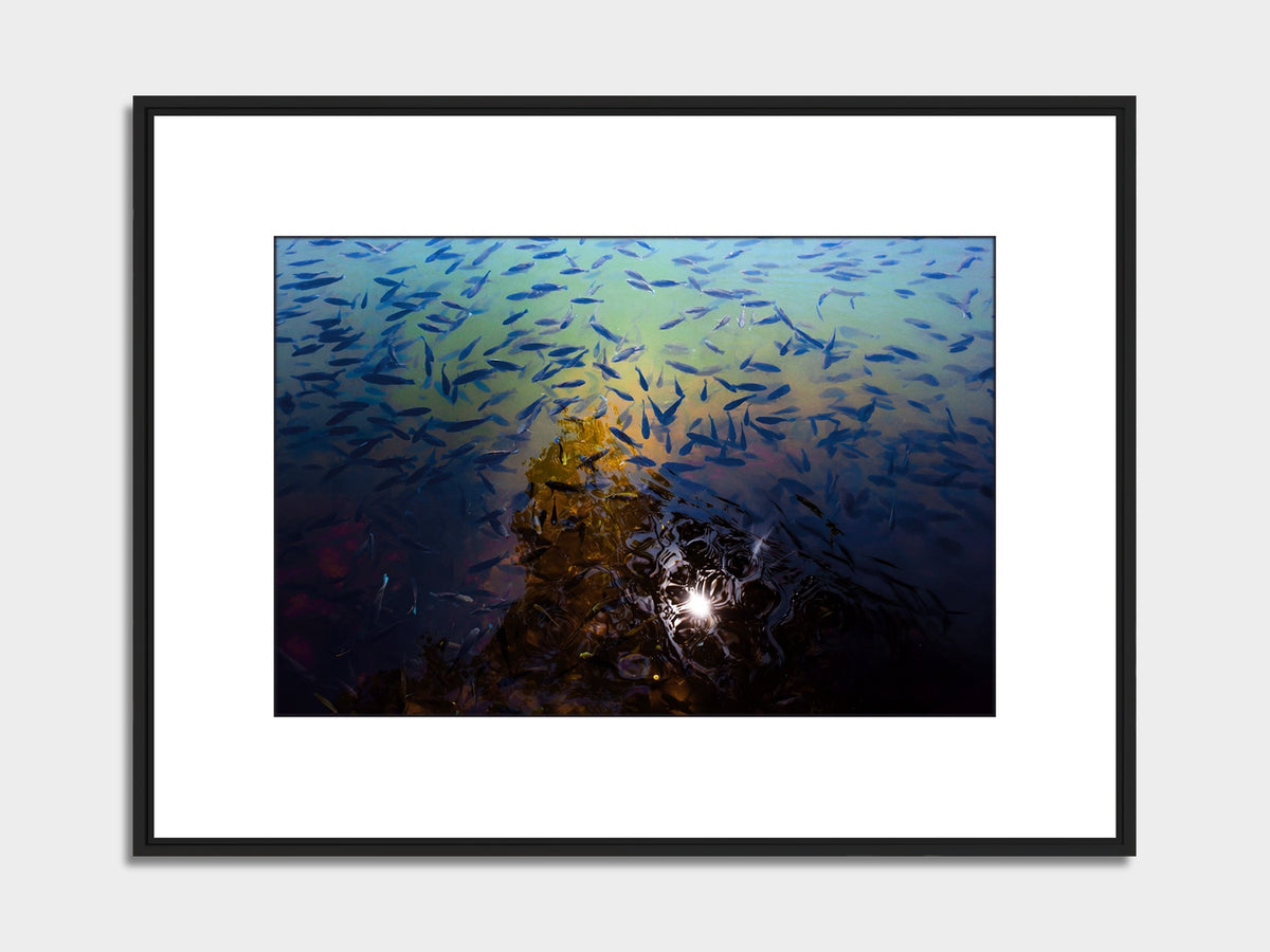 Mauritius 04 – Grand Bassin sacred lake fine art print, black matt floater frame | Beau Edition