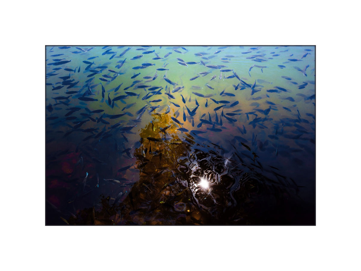 Mauritius 04 – Grand Bassin sacred lake fine art print artwork | Beau Edition