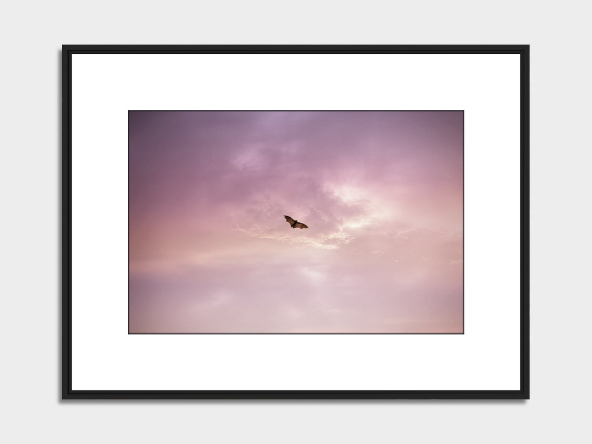 Mauritius 14 – Balaclava fine art print, black matt floater frame | Beau Edition