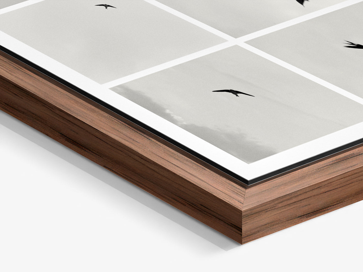 Hirondelles — Studies. Limited edition of 25