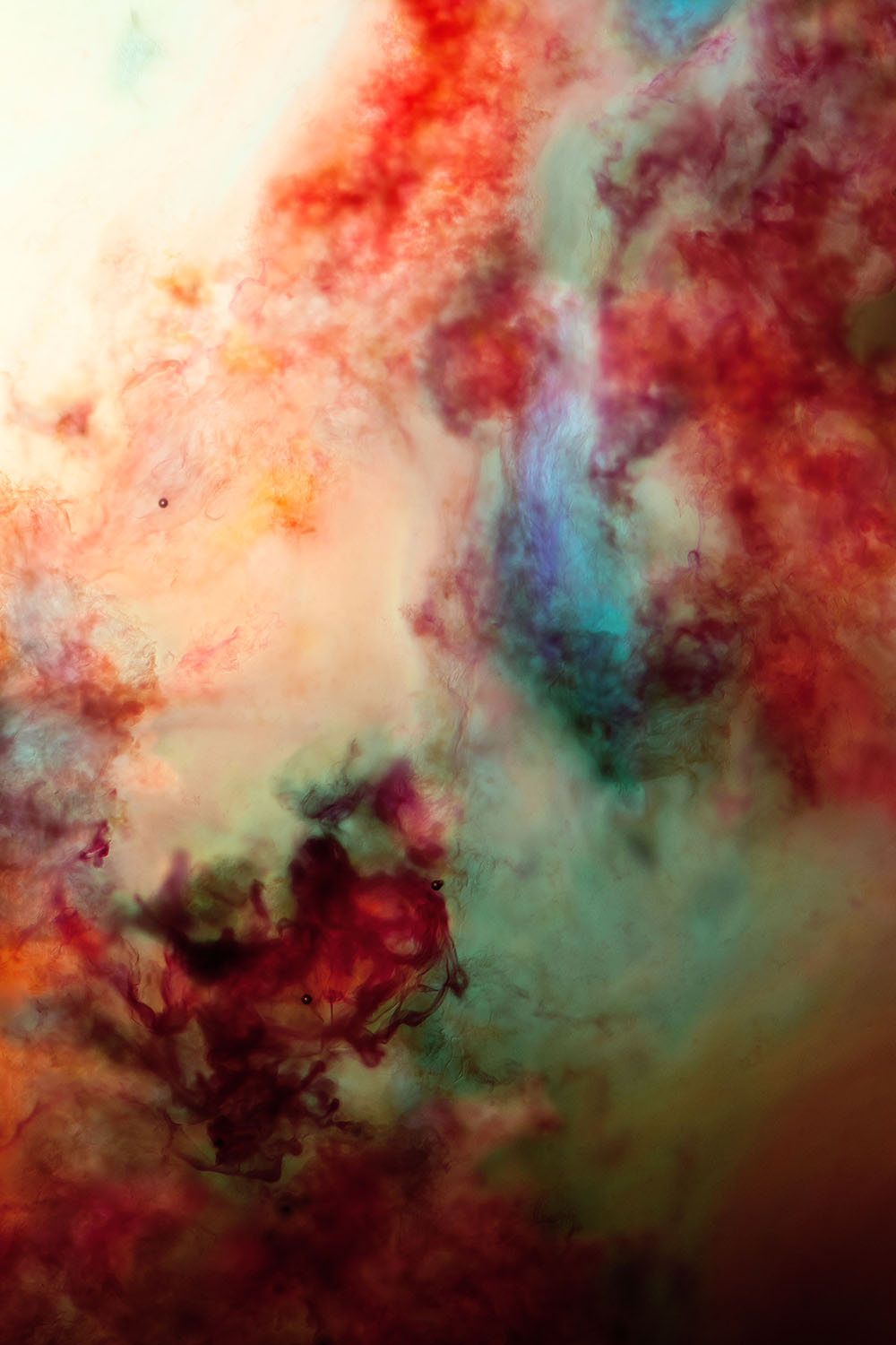 In Between 15 – red ink blossom with teal on cream, fine art print | Beau Edition