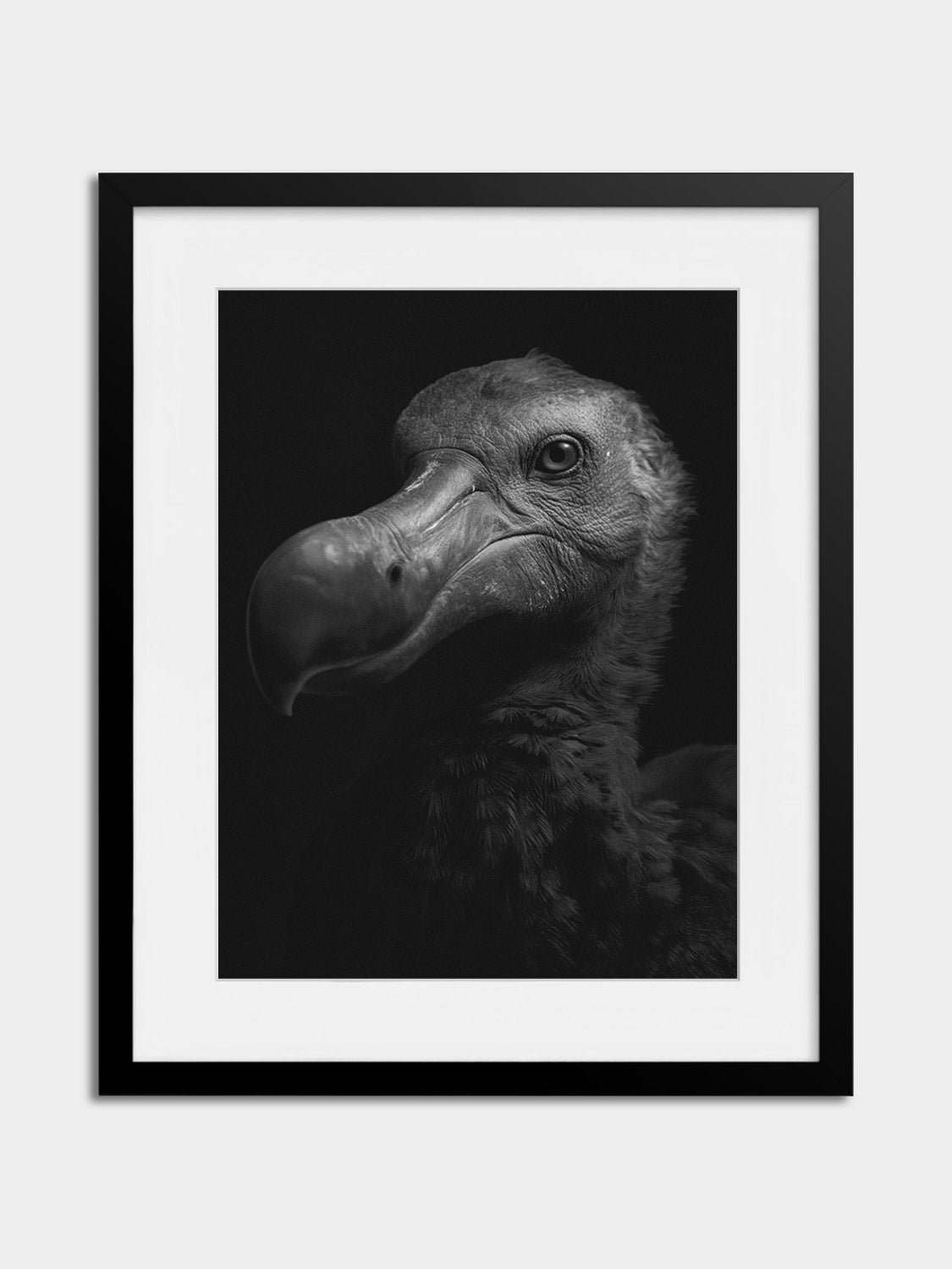 Animal Illusions — Dodo