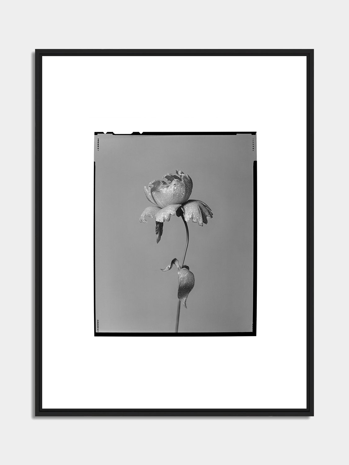Fleurs Couture — 01