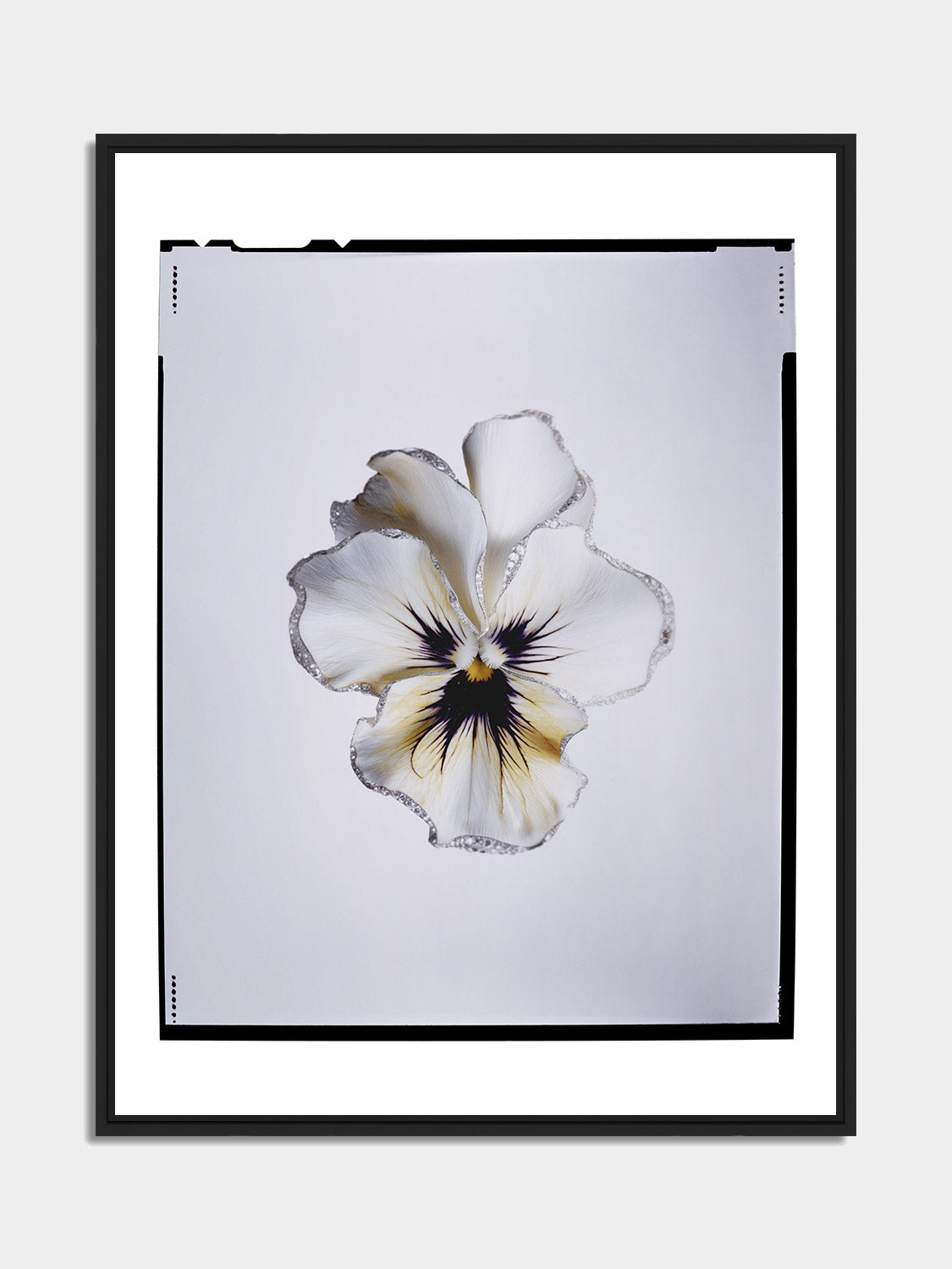Fleurs Couture — 02