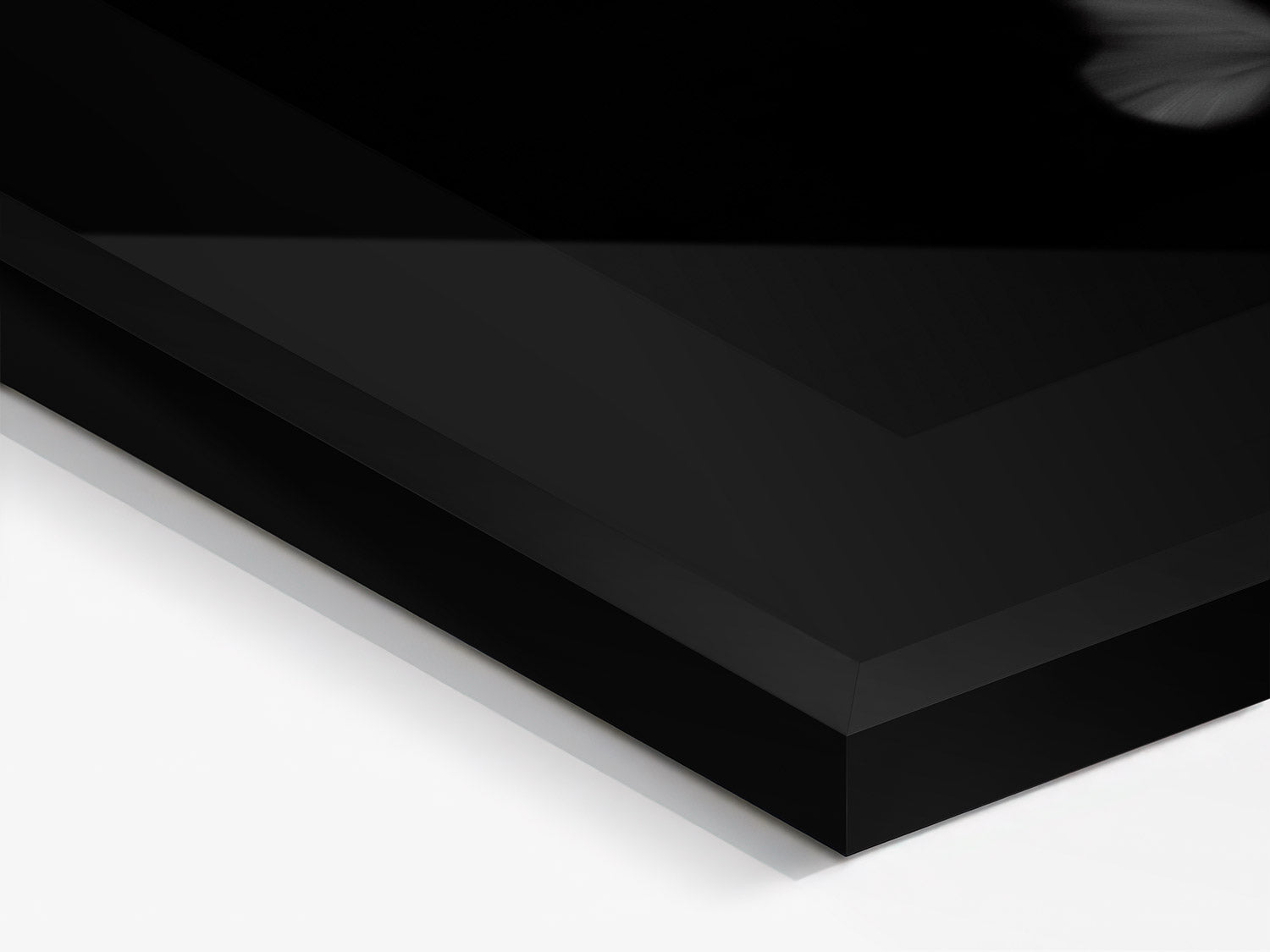 Flight — N°01. Limited edition of 25