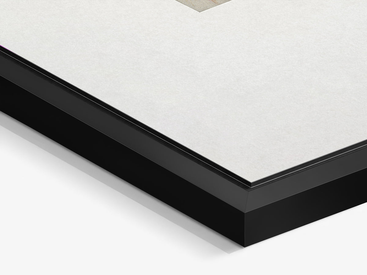 Chevelures 01 — corner detail of the black matt floater frame and aluminium print — Beau Edition