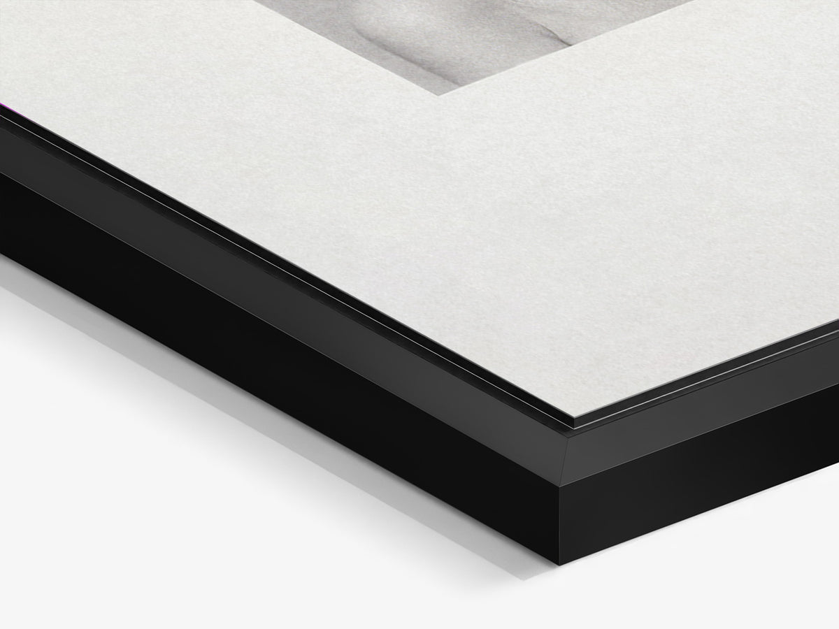 Chevelures 02 — corner detail of the black matt floater frame and aluminium print — Beau Edition