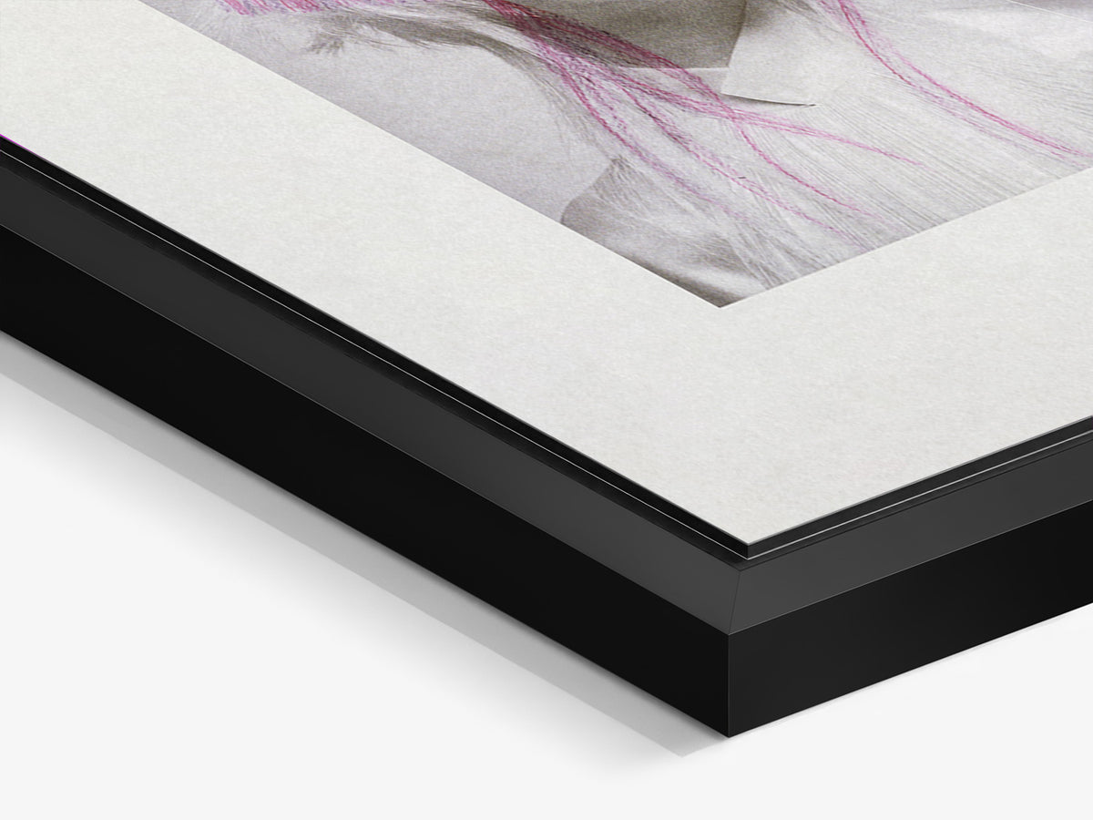 Chevelures 07 — corner detail of the black matt floater frame and aluminium print — Beau Edition