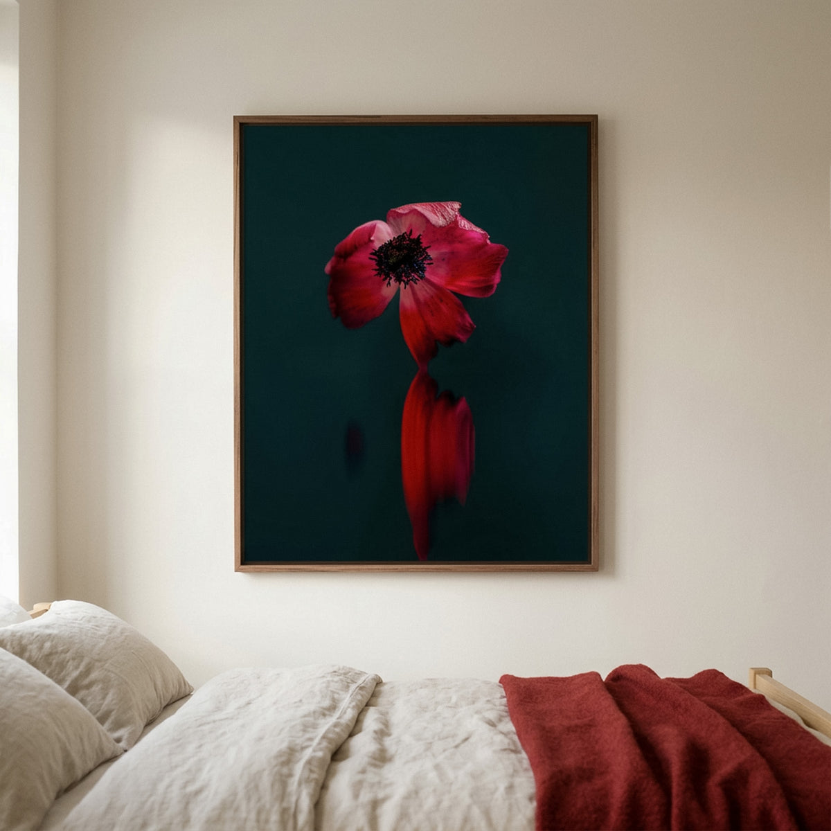 Narcisse 04 – red anemone fine art print in an interior, walnut floater frame | Beau Edition