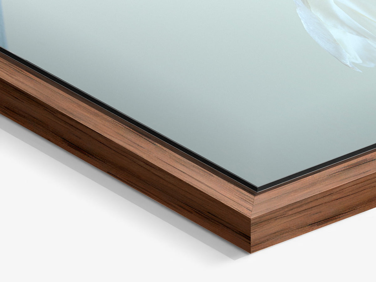 Narcisse 06 – walnut floater frame close-up, white iris fine art print | Beau Edition