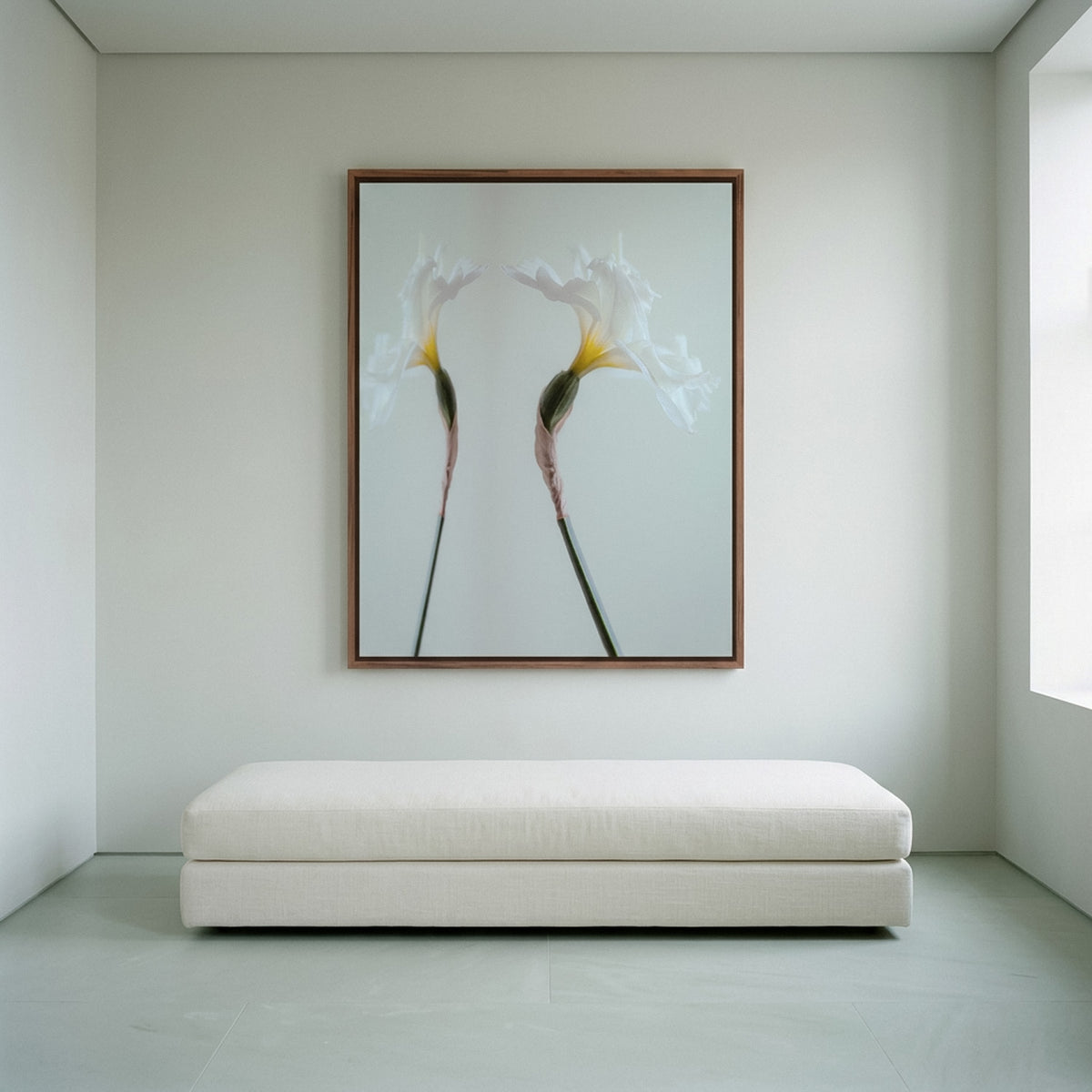 Narcisse 06 – white iris fine art print in an interior, walnut floater frame | Beau Edition