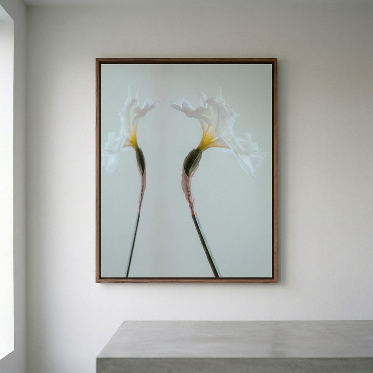Narcisse 06 – white iris fine art print in an interior, walnut floater frame | Beau Edition