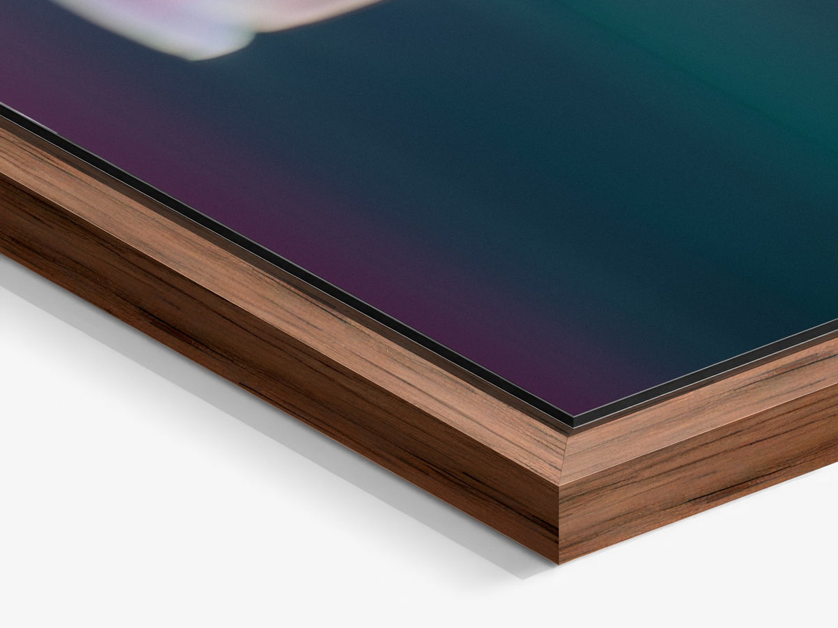 Narcisse 09 – walnut floater frame close-up, pink magnolia fine art print | Beau Edition