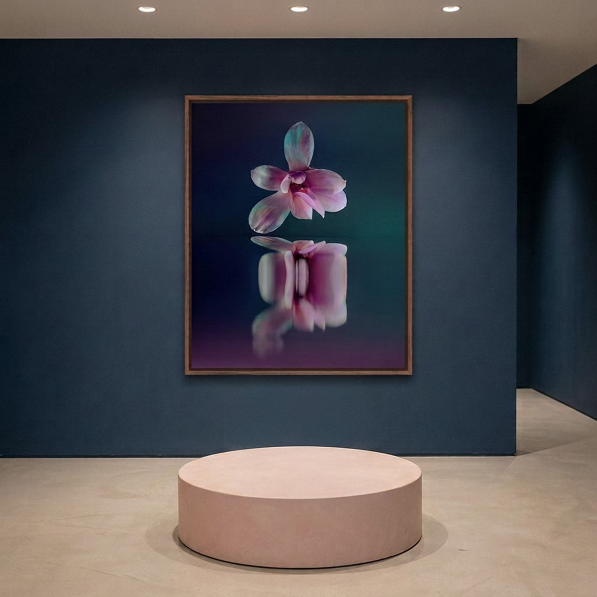 Narcisse 09 – pink magnolia fine art print in an interior, walnut floater frame | Beau Edition