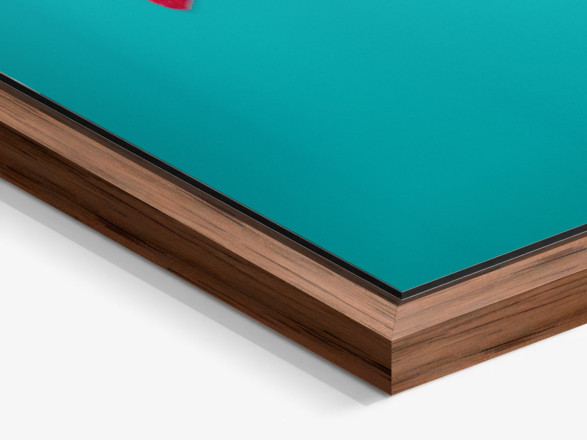 Narcisse 10 – walnut floater frame close-up, abstract red tulip fine art print | Beau Edition
