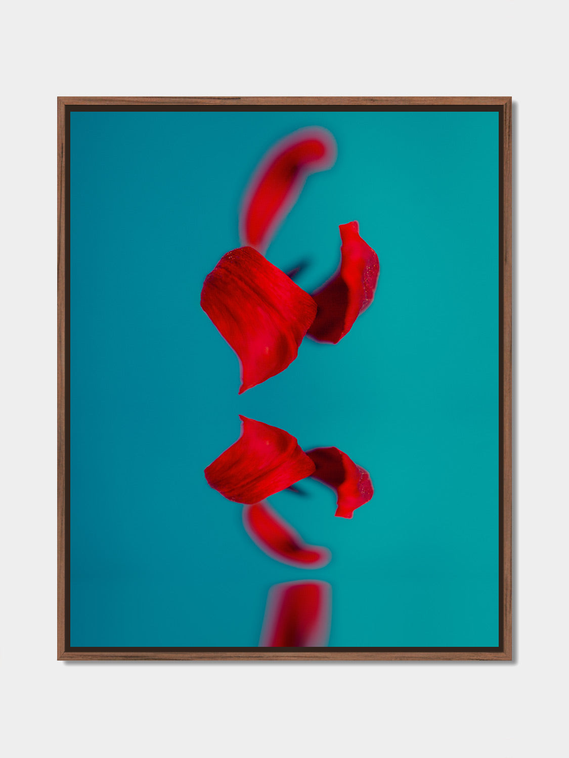 Narcisse 10 – abstract red tulip and its reflection, fine art print, walnut floater frame | Beau Edition