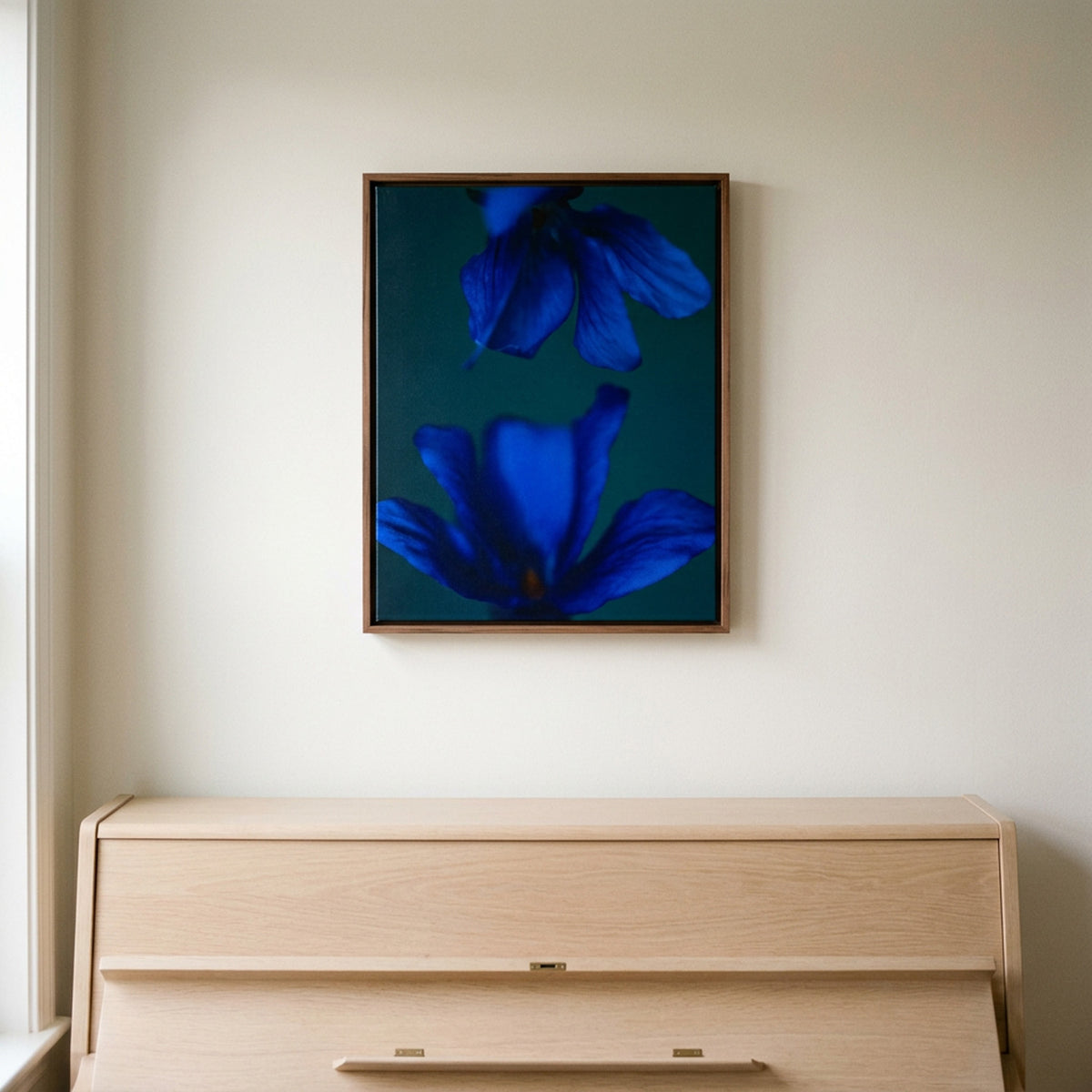 Narcisse 11 – deep blue flower fine art print in an interior, walnut floater frame | Beau Edition