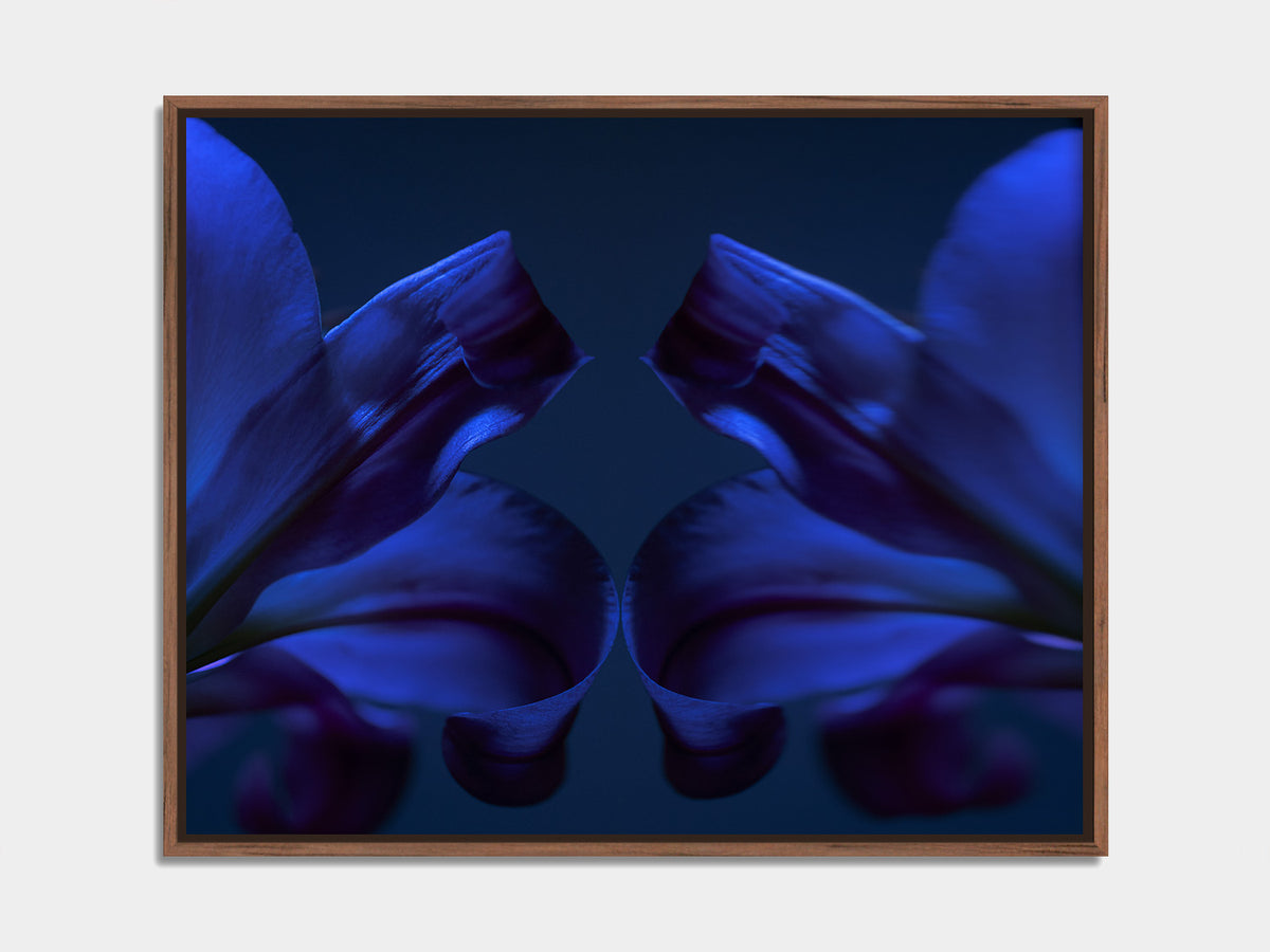 Narcisse 15 – blue lilies and their reflection, fine art print, walnut floater frame | Beau Edition