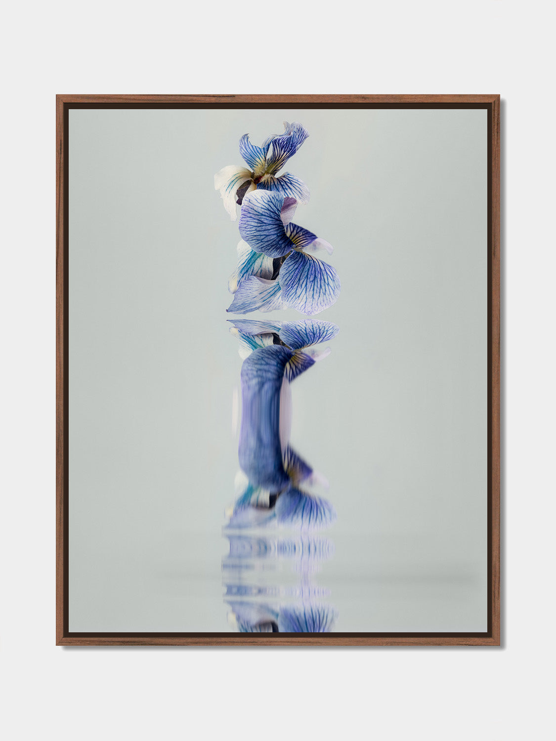 Narcisse 16 – blue wild flowers and their reflection, fine art print, walnut floater frame | Beau Edition