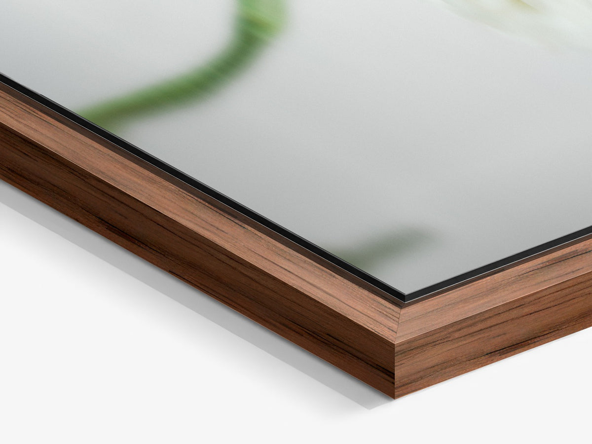 Narcisse 17 – walnut floater frame close-up, white ranunculus fine art print | Beau Edition